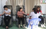 Toàn tỉnh thu nhận 902 đơn vị máu trong ngày "Chủ nhật đỏ" năm 2020