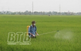 71.600ha lúa xuân được phun thuốc phòng, trừ sâu bệnh