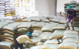 Cấp 4.000 tấn gạo từ nguồn dự trữ quốc gia cho Quảng Bình, Quảng Trị, Thừa Thiên Huế, Quảng Nam 