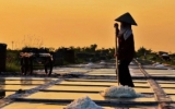 Phát triển nghề muối gắn với du lịch trải nghiệm