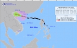 Thái Bình chủ động ứng phó với bão số 3