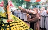 Thái Bình: Hân hoan mừng Phật đản 