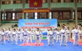 Thái Bình: Sôi nổi phong trào tập luyện võ thuật