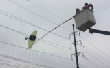 Vẫn còn tình trạng thả diều gây sự cố lưới điện