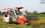 Việc thu hoạch lúa trên địa bàn tỉnh đã cơ bản hoàn thành