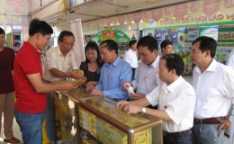 Nhìn lại chương trình đưa hàng Việt về nông thôn năm 2013