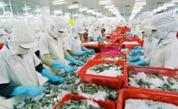 Việt Nam tham gia Hệ thống cấp chứng thư thủy sản vào EU