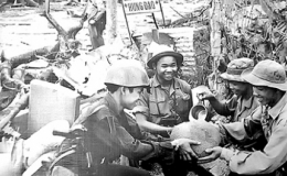 Người lạc về đâu