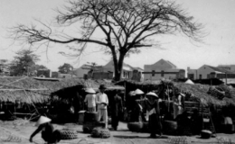 Người lạc về đâu