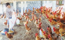 Giảm nghèo nhờ tín dụng chính sách