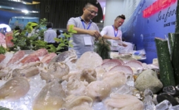 EU sẽ dừng nhập khẩu thủy sản nếu Việt Nam không tuân thủ quy định mới