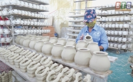 Dolacera khẳng định vị thế trên thị trường