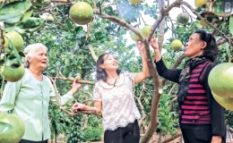 Bức tranh giữa đời thường