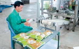Hoạt động thương mại tháng 10 tăng nhẹ