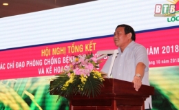Tổng kết công tác chỉ đạo phòng chống bệnh lùn sọc đen hại lúa năm 2018