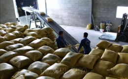 Xuất khẩu gạo 9 tháng đạt gần 5 triệu tấn, tăng 23,2% giá trị