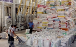 Việt Nam lần đầu tổ chức Hội nghị Gạo quốc tế