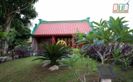 Bạn tôi...
