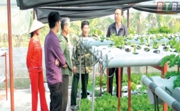Tiền Hải phát triển nhiều mô hình nông nghiệp sạch