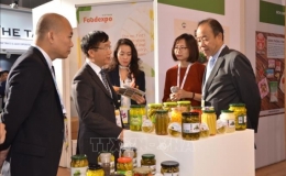 Công nghiệp thực phẩm Việt Nam trên đường chinh phục thị trường châu Âu