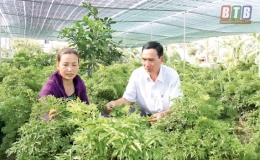 Hiệu quả thiết thực