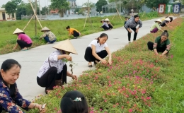 Đông Hưng: Để môi trường xanh, sạch, đẹp