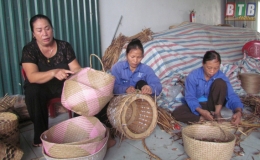 Vươn lên từ bẹ ngô bèo bồng