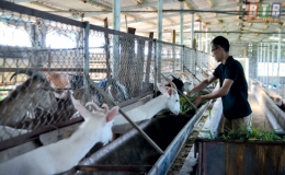 Thất bại ở đâu đứng lên ở đó