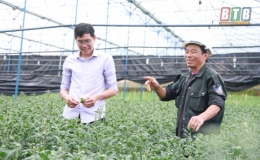 Người "quê lúa" ở Tây Nguyên