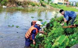 Thanh niên tham gia bảo vệ môi trường