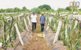 Hội Nông dân xã Vũ Lăng: Cùng hội viên phát triển kinh tế