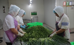 Tạo đột phá trong sản xuất nông nghiệp
