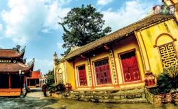 Đại vương sinh thần