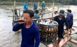 Mỹ tiếp tục là thị trường xuất khẩu thủy sản lớn nhất của Việt Nam