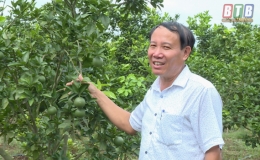 Thu tiền tỷ từ trồng cây ăn quả