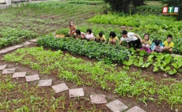 Độc đáo những trang trại thu nhỏ ở trường mầm non