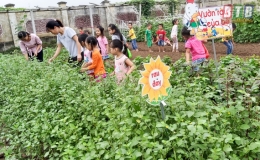 Vườn rau xanh cho bé