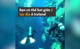 Bơi giữa 2 lục địa ở vùng nước sạch bậc nhất thế giới