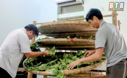 Hồng Lý: Nhiều giải pháp sử dụng năng lượng tiết kiệm và hiệu quả