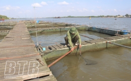 Bảo đảm an toàn hoạt động nuôi cá lồng trên sông trước ảnh hưởng của mưa lũ