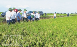 Biến khát vọng thành hành động