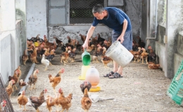 “Cầu nối” đưa vốn tín dụng chính sách đến người dân