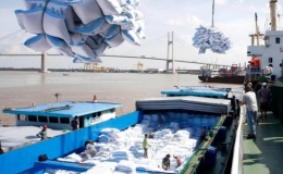 Giá trị xuất khẩu gạo đạt 2,4 tỷ USD