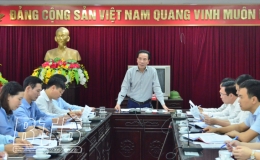 Giám sát tình hình sản xuất và tiêu thụ nông sản trên địa bàn huyện Quỳnh Phụ