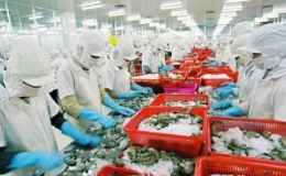 Hai tháng sau EVFTA, xuất khẩu vào EU tăng thêm 700 triệu USD