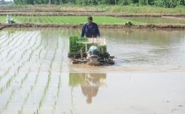 HTX nông nghiệp - đổi mới để phát triển