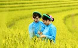 Khai mạc lễ hội văn hóa, thể thao dân tộc Sán Chỉ - Mùa vàng vùng cao Đại Dực