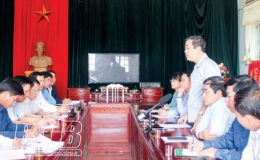 Kiểm tra, chỉ đạo công tác phòng, chống bệnh dịch tả lợn châu Phi