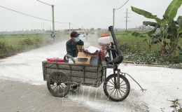Kiến Xương: Kịp thời khống chế bệnh dịch tả lợn châu Phi
