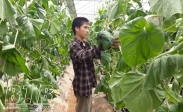 Kỳ họp thứ 3, nhiệm kỳ 2020 - 2025 Ban Chấp hành Đảng bộ huyện Hưng Hà